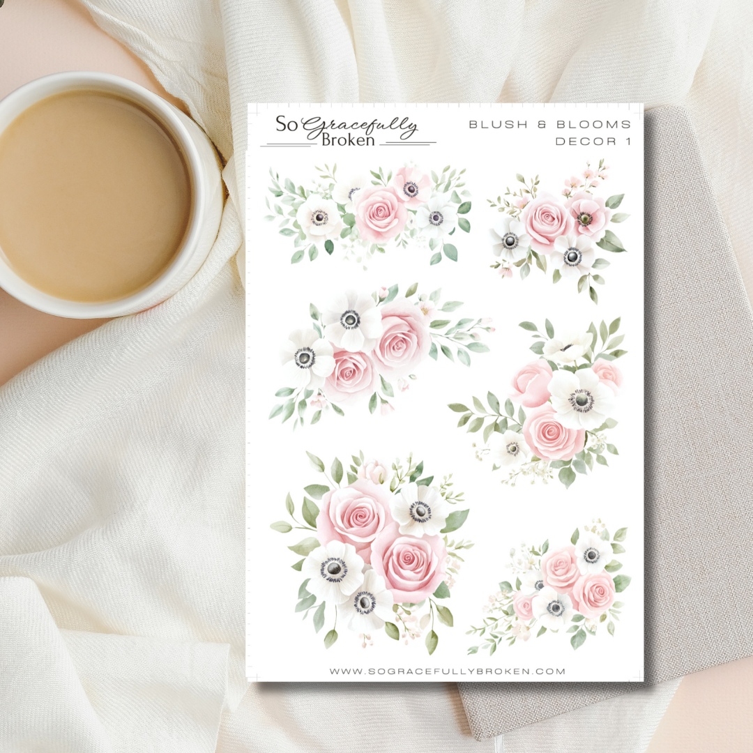 Blush & Blooms