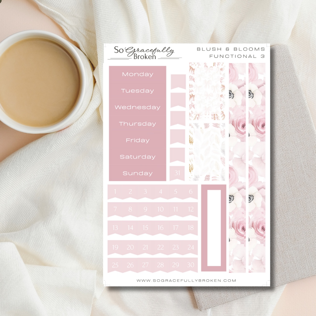 Blush & Blooms