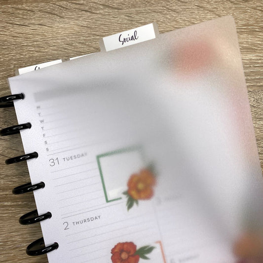 Clear Frosted Tabbed Dividers